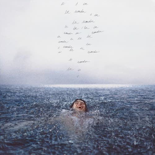 Capa de Wonder