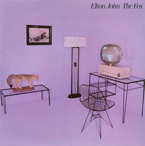 Capa de The Fox