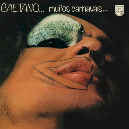 Capa de Muitos Carnavais