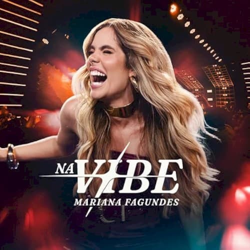 Capa de Na Vibe (Ao Vivo)