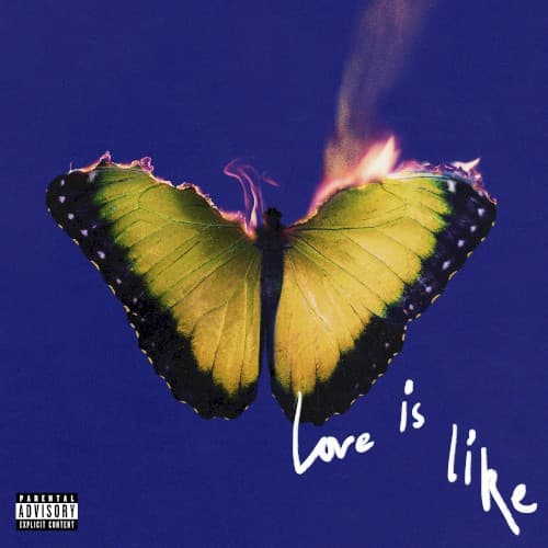 Capa de Love Is Like