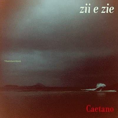 Capa de Zii e zie
