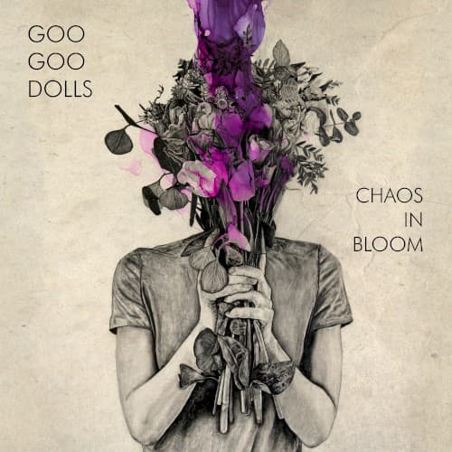 Capa de Chaos in Bloom