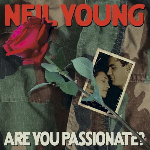 Capa de Are You Passionate?