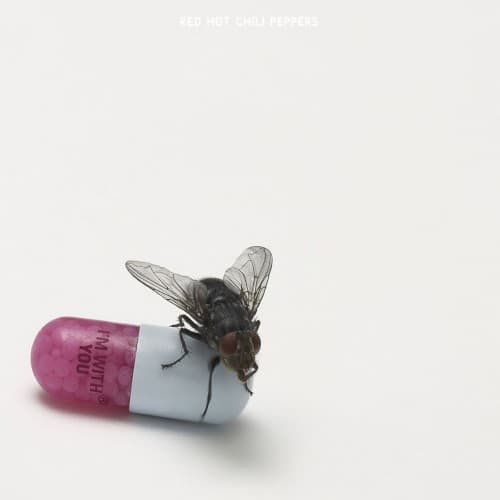 Capa de I’m With You