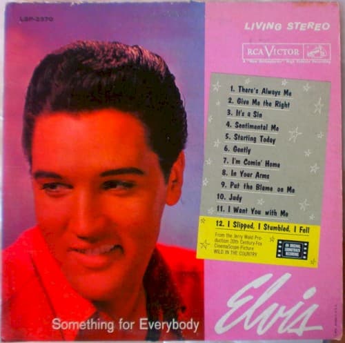 Capa de Something for Everybody