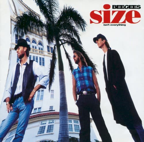 Capa de Size Isn’t Everything