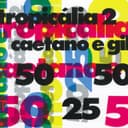 Capa de Tropicália 2