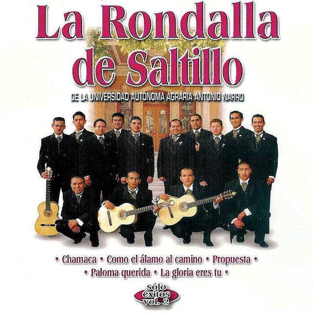 Capa de Sólo Éxitos, Vol. 2