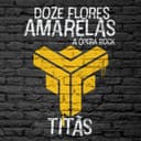 Capa de Doze Flores Amarelas - A Ópera Rock