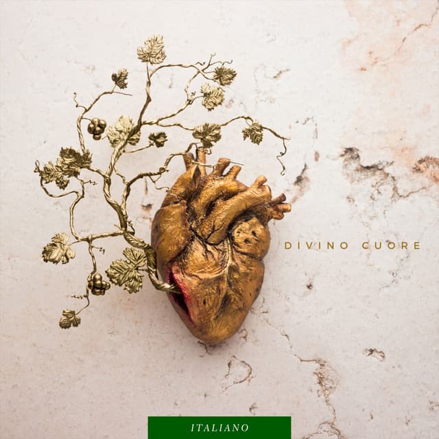 Capa de Divino Cuore