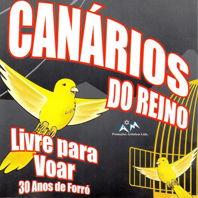 Capa de Livre para Voar (Ao Vivo)