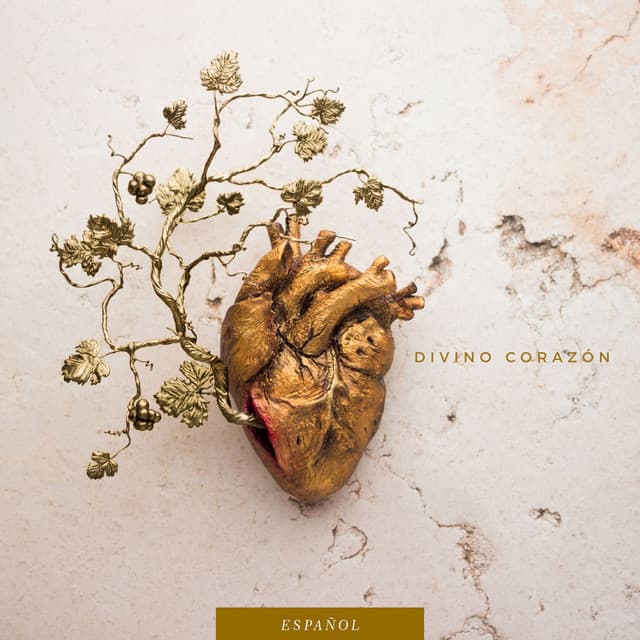 Capa de Divino Corazón
