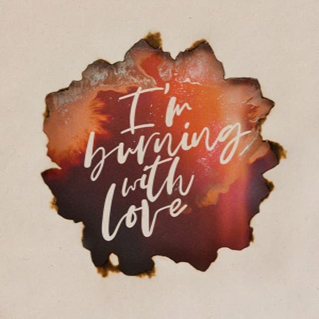 Capa de I'm Burning with Love