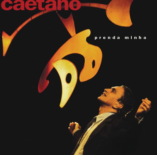 Capa de Prenda Minha