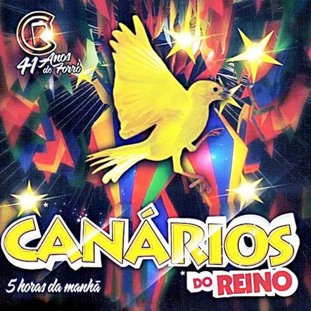Capa de 41 Anos De Forró