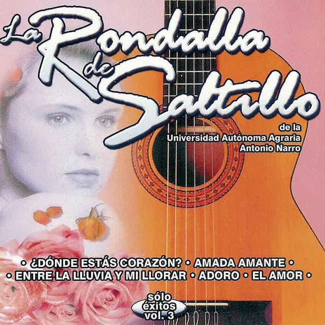 Capa de Sólo Éxitos, Vol. 3