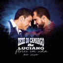 Capa de Flores em Vida (Ao Vivo) [Deluxe]