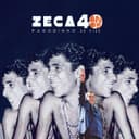 Capa de Zeca Pagodinho - 40 Anos (Ao Vivo)