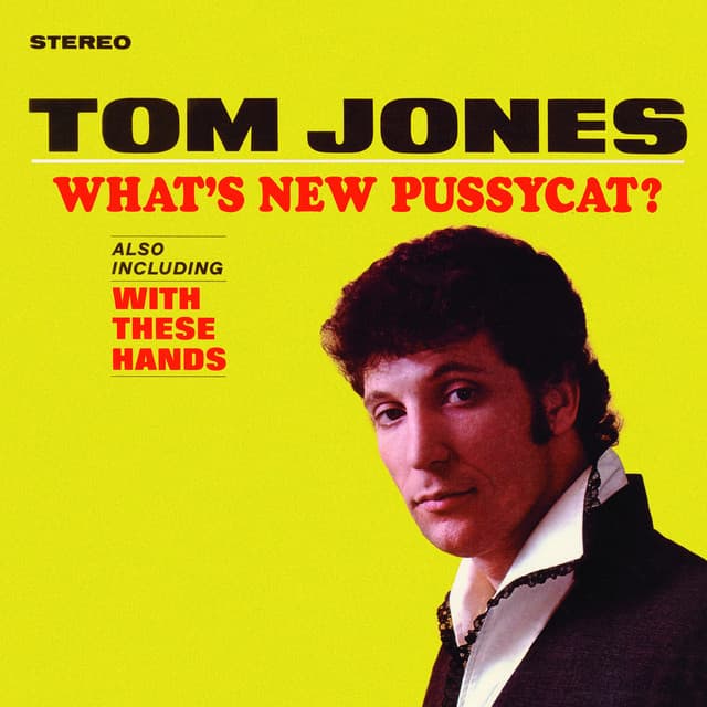 Capa de What's New Pussycat