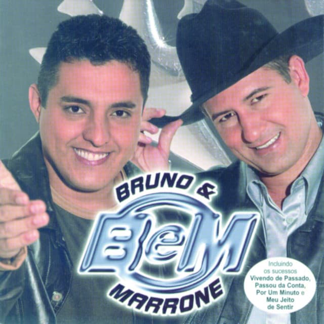 Capa de Paixão Demais
