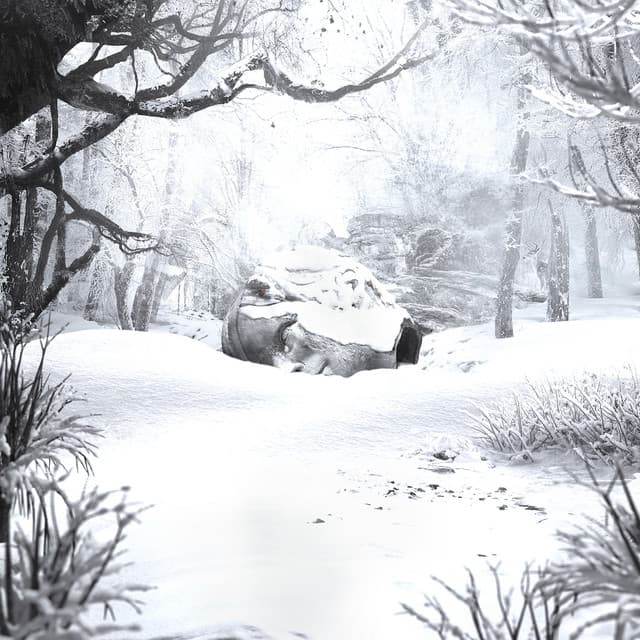 Capa de SZNZ: Winter