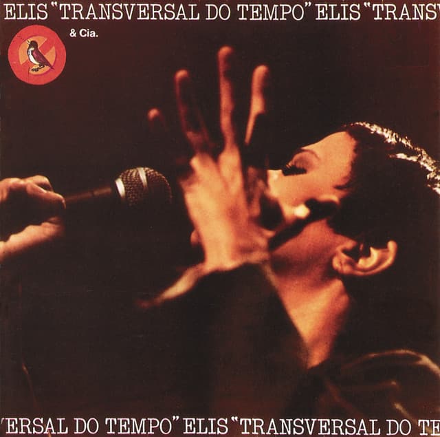 Capa de Transversal Do Tempo