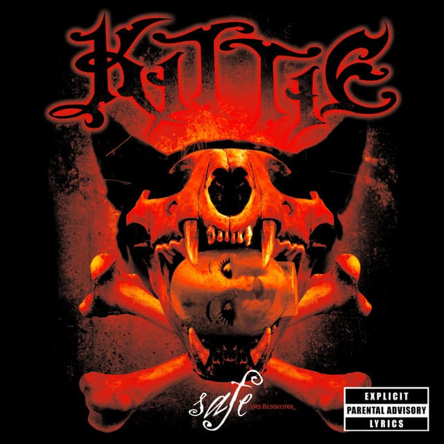 Capa de Safe