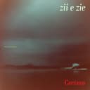 Capa de Zii & Zie