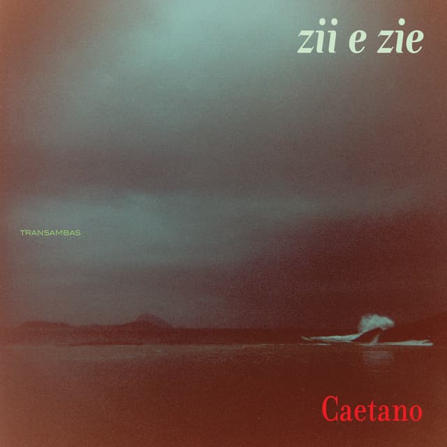 Capa de Zii & Zie