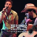 Capa de Diferente