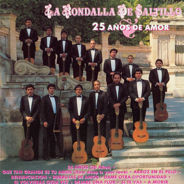 Capa de 25 Años De Amor