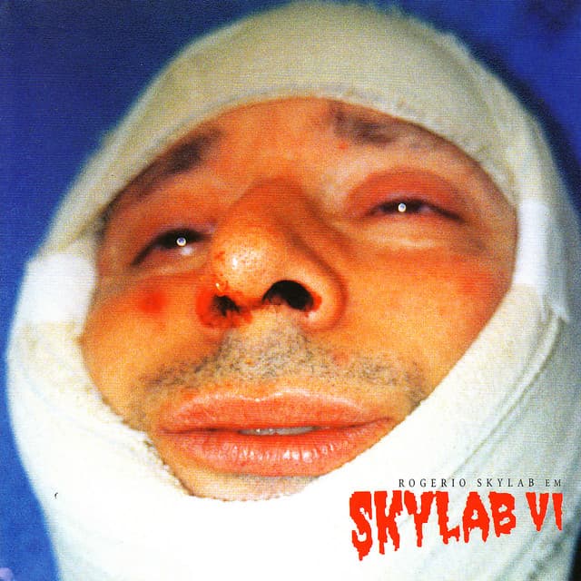 Capa de Skylab VI