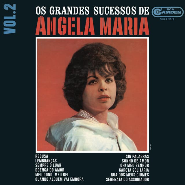 Capa de Os Grandes Sucessos, Vol. II