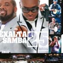 Capa de 25 Anos (Ao Vivo)