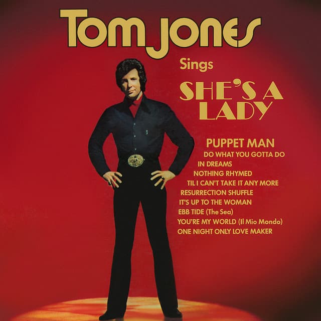 Capa de Tom Jones Sings She's A Lady