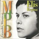 Capa de Grandes mestres da MPB, Vol. 1