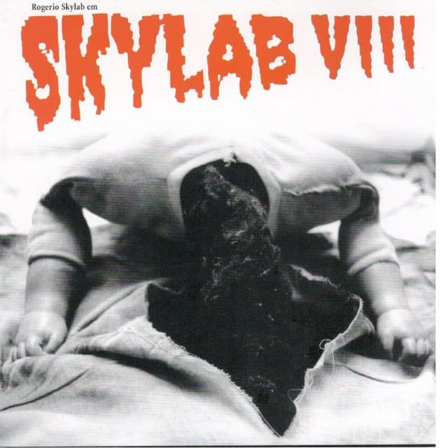 Capa de Skylab VIII