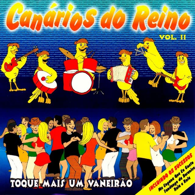 Capa de Toque Mais um Vaneirão Vol II