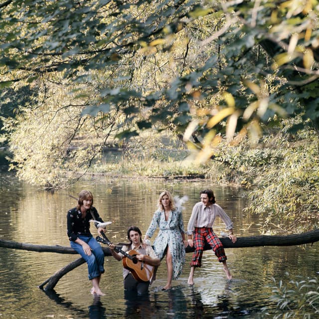 Capa de Wild Life