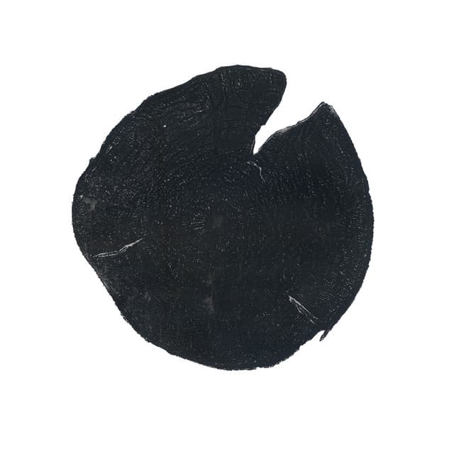 Capa de Marcelo Camelo: Sinfonia No 1 - Primitiva
