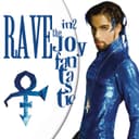 Capa de Rave In2 the Joy Fantastic