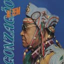 Capa de Aí Tem Gonzagão