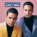 Capa de Camargo & Luciano 1994