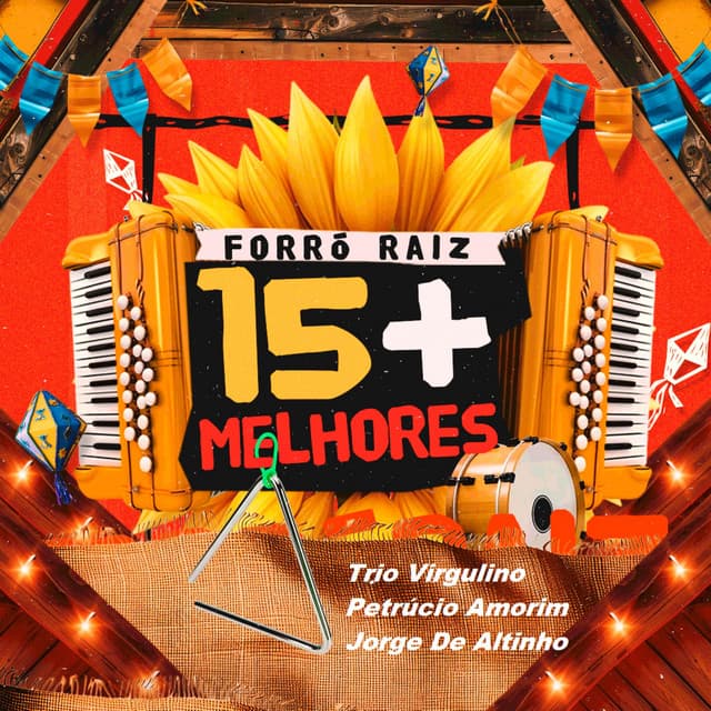 Capa de Forró Raiz 15+ (Vol. 3)