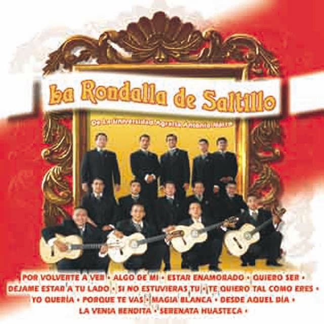 Capa de Sólo Éxitos, Vol. 1