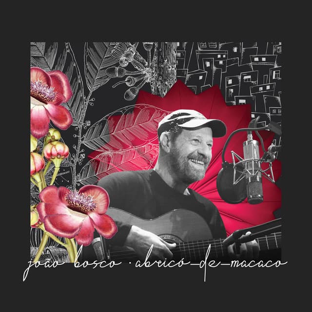Capa de Abricó-de-Macaco