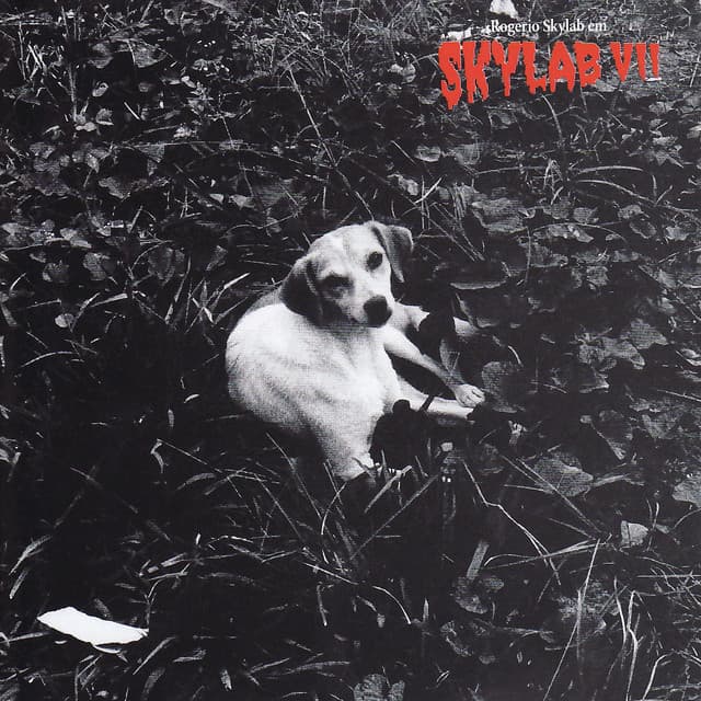 Capa de Skylab VII