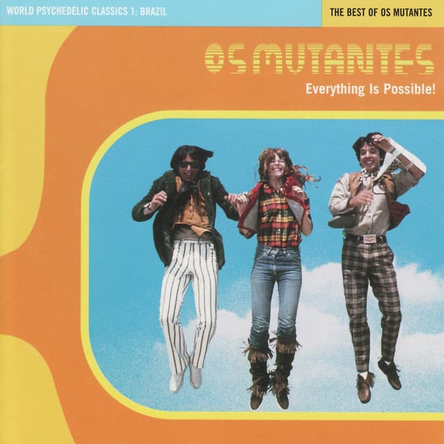 Capa de Everything is Possible!
