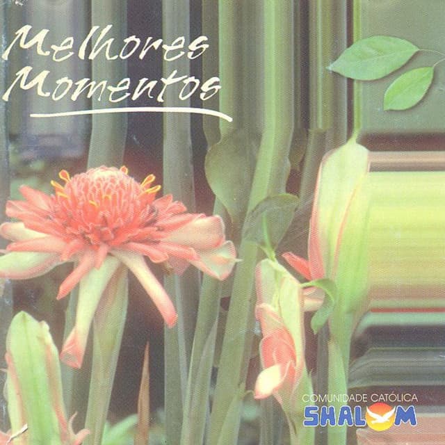 Capa de Melhores Momentos